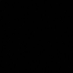 Meet your Posher, Lydia